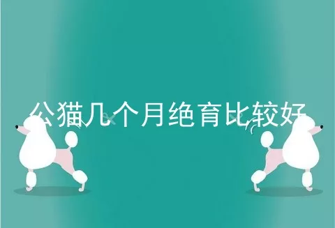 公猫几个月绝育比较好