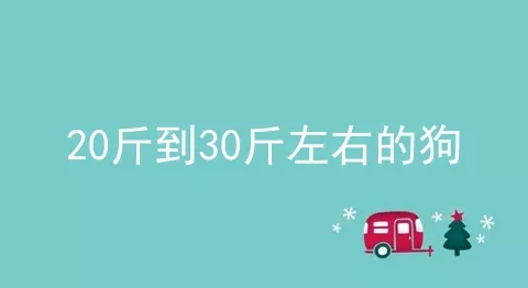 20斤到30斤左右的狗