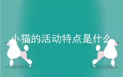 小猫的活动特点是什么