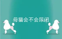 母猫会不会尿闭