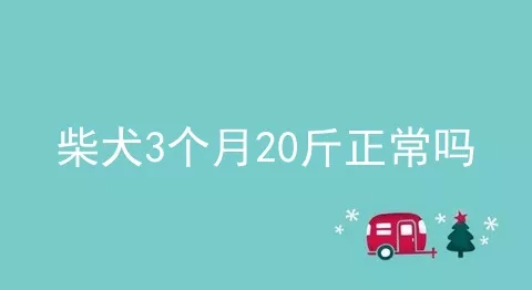 柴犬3个月20斤正常吗