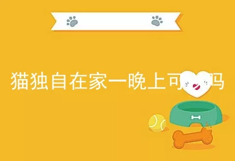 猫独自在家一晚上可以吗