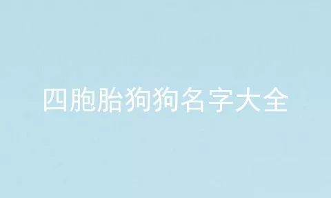 四胞胎狗狗名字大全