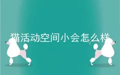 猫活动空间小会怎么样