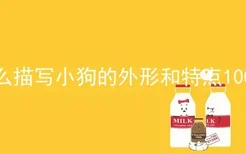 怎么描写小狗的外形和特点100字