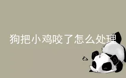 狗把小鸡咬了怎么处理