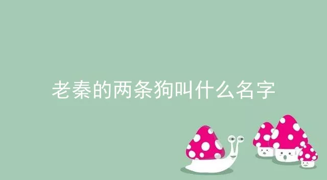 老秦的两条狗叫什么名字