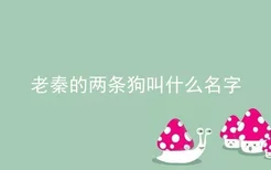 老秦的两条狗叫什么名字