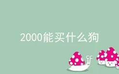 2000能买什么狗