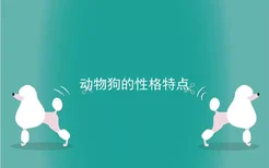 动物狗的性格特点