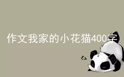 作文我家的小花猫400字