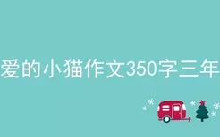 可爱的小猫作文350字三年级