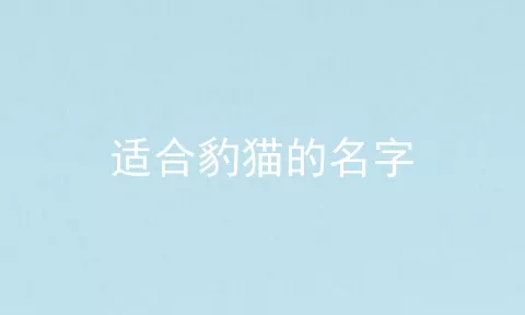 适合豹猫的名字