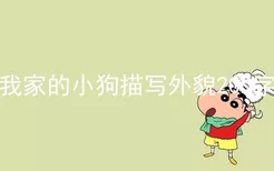 我家的小狗描写外貌200字