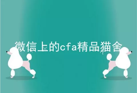 微信上的cfa精品猫舍