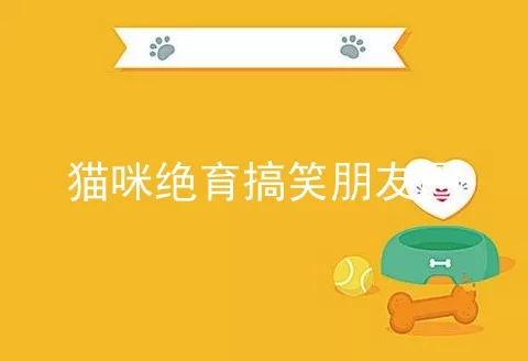 猫咪绝育搞笑朋友圈