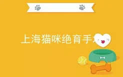 上海猫咪绝育手术