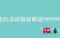 我的汤姆猫破解版9999999