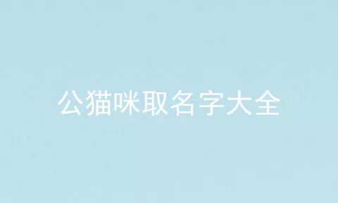 公猫咪取名字大全