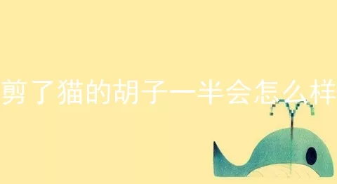 剪了猫的胡子一半会怎么样