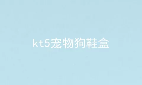 kt5宠物狗鞋盒