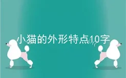 小猫的外形特点10字