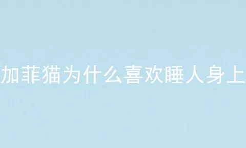 加菲猫为什么喜欢睡人身上