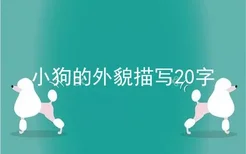 小狗的外貌描写20字