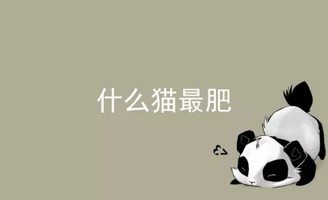 什么猫最肥