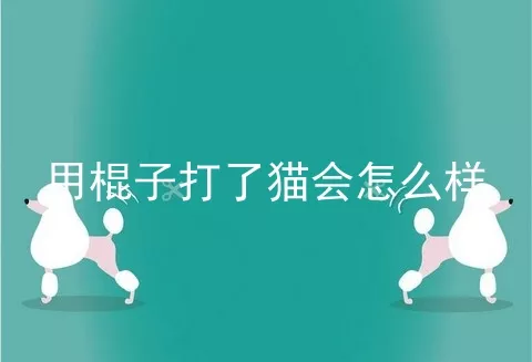 用棍子打了猫会怎么样