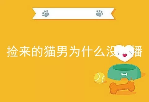 捡来的猫男为什么没有播