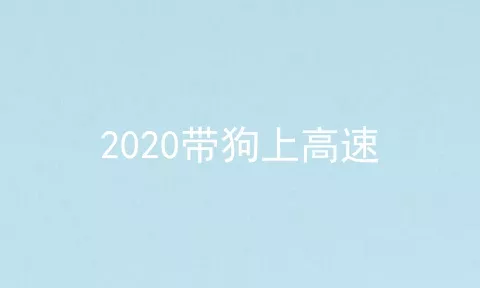 2020带狗上高速