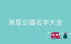 渐层公猫名字大全