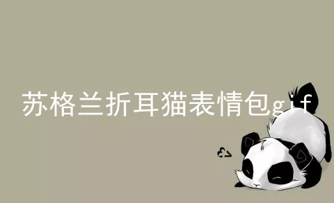 苏格兰折耳猫表情包gif