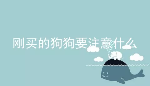 刚买的狗狗要注意什么