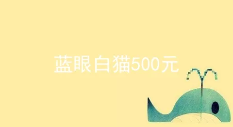 蓝眼白猫500元