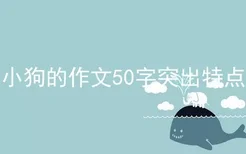 小狗的作文50字突出特点