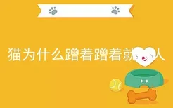 猫为什么蹭着蹭着就咬人