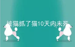 被猫抓了猫10天内未死