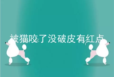 被猫咬了没破皮有红点