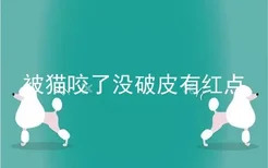 被猫咬了没破皮有红点