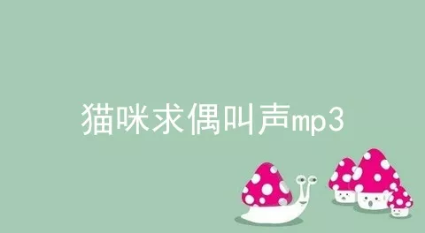 猫咪求偶叫声mp3