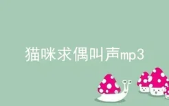 猫咪求偶叫声mp3