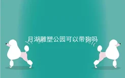 月湖雕塑公园可以带狗吗