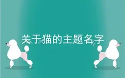 关于猫的主题名字