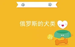 俄罗斯的犬类