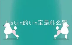 Justin的tin宝是什么猫