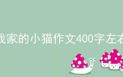 我家的小猫作文400字左右