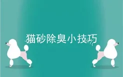 猫砂除臭小技巧