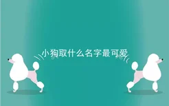 小狗取什么名字最可爱